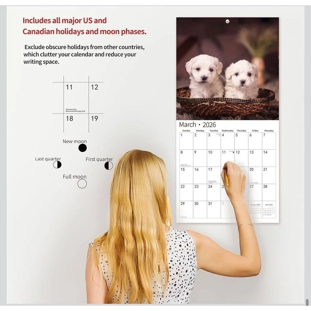 2026 Maltese Wall Calendar, 18-Month (July 2025 - December 2026) Dog‎ Breed
